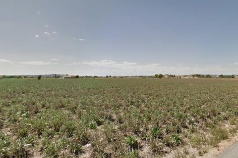 Tomt i Dolores, Alicante, Dolores - € 120 000 | Ref: F114/3390 - foto 3