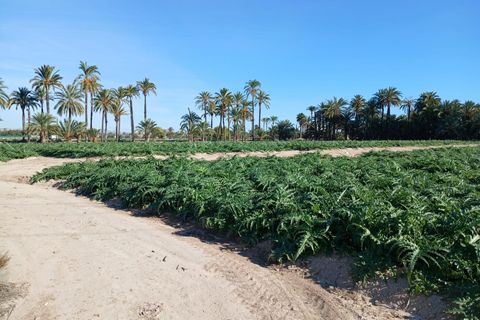 Helårsgrund i Elche, Alicante, Elche - € 395.000 | Ref: F116/3390 - foto 6