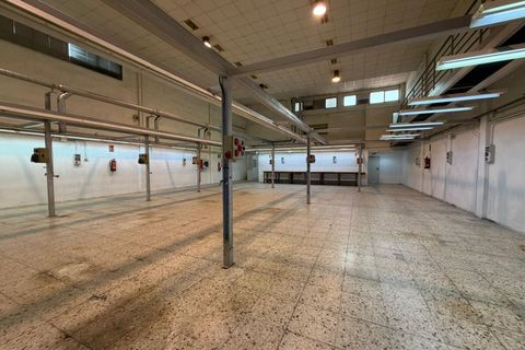 Erhvervsejendom i Elche, Alicante, Elche - € 460.000 | Ref: L41/3390 - foto 5