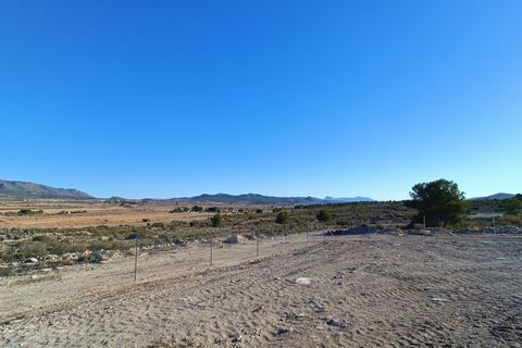 Villa i Pinoso, Alicante, Pinoso - € 350.000 | Ref: AMAM-VILLA CARMEN - foto 38