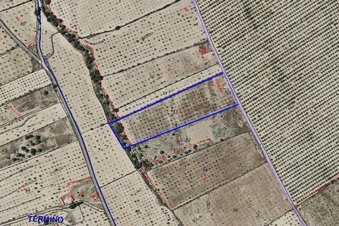Terreno en Ubeda, Alicante, Ubeda - € 43.250 | Ref: CF2718 - photo 1