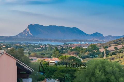Villa i San Teodoro, Sassari, San Teodoro - € 365.000 | Ref: STV-09-26 - foto 18