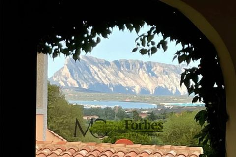 Villa i San Teodoro, Sassari, San Teodoro - € 365.000 | Ref: STV-09-26 - foto 23