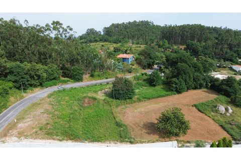 Helårsgrund i Ponte de Lima, Viana do Castelo, Ponte de Lima - € 289.000 | Ref: V510 - foto 4