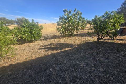 Terra a Alandroal, Evora, Alandroal - € 79.500 | Ref: JG2485 - foto 4