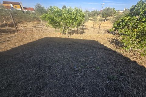 Terra a Alandroal, Evora, Alandroal - € 79.500 | Ref: JG2485 - foto 6