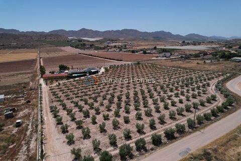 Landejendom i Lorca, Murcia, Lorca - € 390.000 | Ref: AH-14701 - foto 3