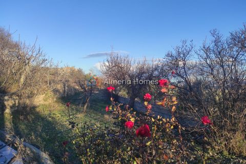Landejendom i Somontin, Almeria, Somontin - € 78.000 | Ref: IX-14573 - foto 14