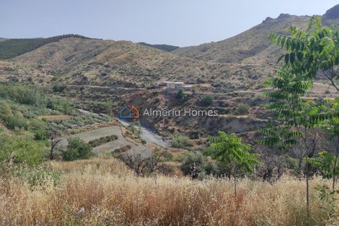 Landejendom i Lucar, Almeria, Lucar - € 50.000 | Ref: IX-14346 - foto 21