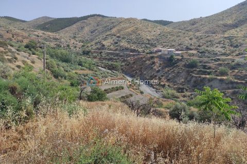 Landejendom i Lucar, Almeria, Lucar - € 50.000 | Ref: IX-14346 - foto 22