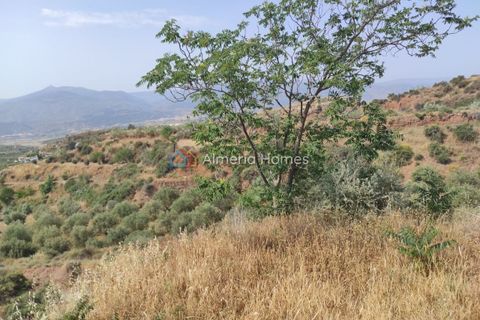 Landejendom i Lucar, Almeria, Lucar - € 50.000 | Ref: IX-14346 - foto 23