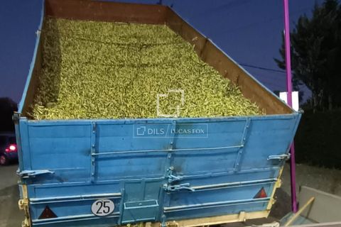 Erhvervsejendom i Oion, Alava, Oion - € 4.200.000 | Ref: SSB70546 - foto 9