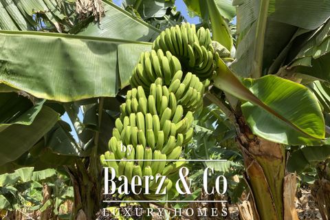 Villa i Arona, Tenerife, Arona - € 1.800.000 | Ref: 49112 - foto 1