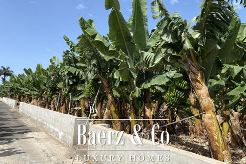 Villa i Arona, Tenerife, Arona - € 1.800.000 | Ref: 49112 - foto 6