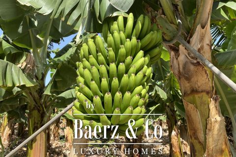 Villa i Arona, Tenerife, Arona - € 1.800.000 | Ref: 49112 - foto 7
