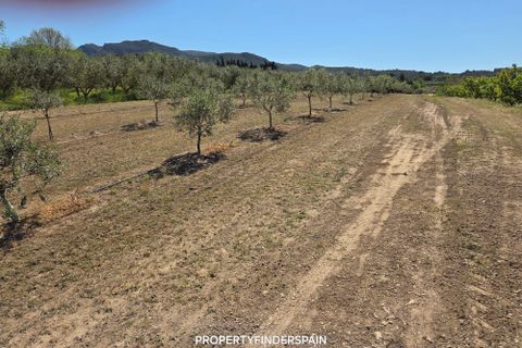 Finca i Ginestar, Tarragona, Ginestar - € 15.000 | Ref: 1018 Ginfrancis - foto 9