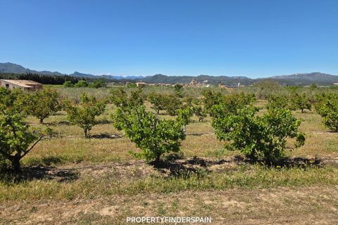 Finca i Ginestar, Tarragona, Ginestar - € 15.000 | Ref: 1018 Ginfrancis - foto 10