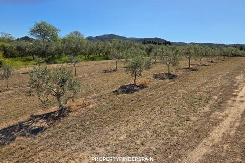 Finca i Ginestar, Tarragona, Ginestar - € 15.000 | Ref: 1018 Ginfrancis - foto 7