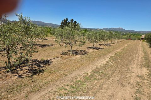 Finca i Ginestar, Tarragona, Ginestar - € 15.000 | Ref: 1018 Ginfrancis - foto 2