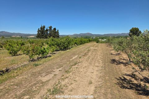 Finca i Ginestar, Tarragona, Ginestar - € 15.000 | Ref: 1018 Ginfrancis - foto 8