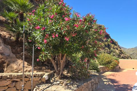 Villa a Turre, Almeria, Turre - € 525.000 | Ref: VC0315 - foto 40