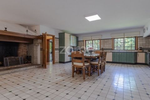 Villa i Fafe, Braga, Fafe - € 1.800.000 | Ref: ZMPT590576 - foto 19
