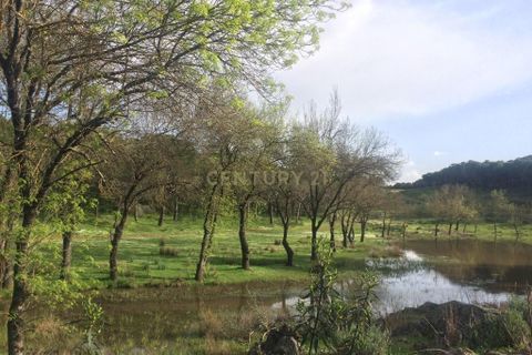 Villa i Moura, Beja, Moura - € 36 500 | Ref: 1769-02352 - foto 20
