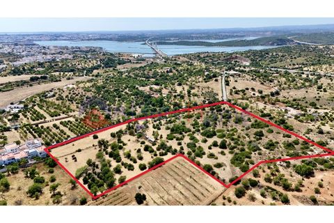 Erhvervsejendom i Estombar, Faro, Estombar - € 1.870.000 | Ref: FIN_385 - foto 1