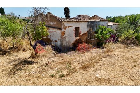 Erhvervsejendom i Estombar, Faro, Estombar - € 1.870.000 | Ref: FIN_385 - foto 4