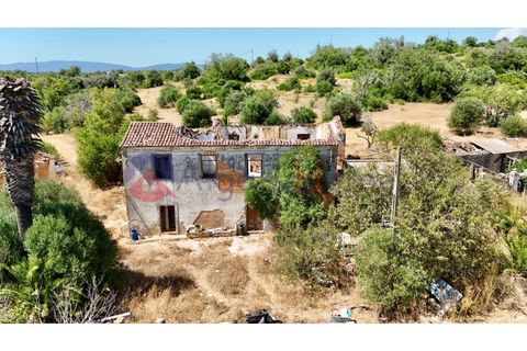 Erhvervsejendom i Estombar, Faro, Estombar - € 1.870.000 | Ref: FIN_385 - foto 10
