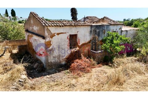 Erhvervsejendom i Estombar, Faro, Estombar - € 1.870.000 | Ref: FIN_385 - foto 13