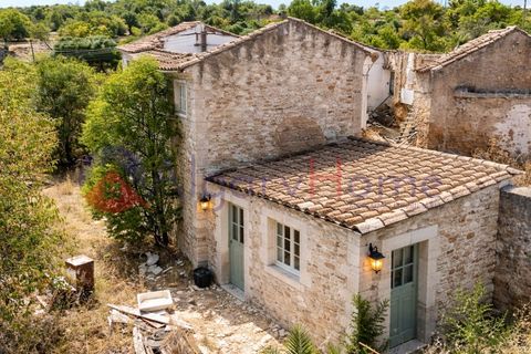 Erhvervsejendom i Estombar, Faro, Estombar - € 1.870.000 | Ref: FIN_385 - foto 17