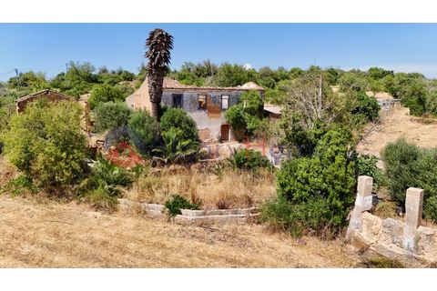 Erhvervsejendom i Estombar, Faro, Estombar - € 1.870.000 | Ref: FIN_385 - foto 18