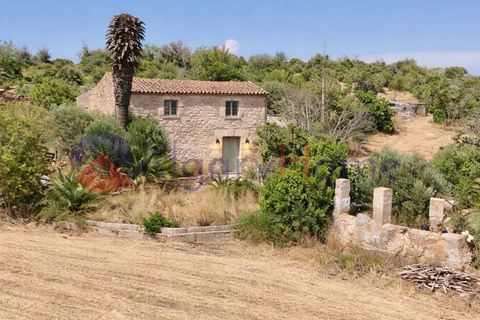 Erhvervsejendom i Estombar, Faro, Estombar - € 1.870.000 | Ref: FIN_385 - foto 19