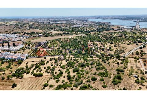 Erhvervsejendom i Estombar, Faro, Estombar - € 1.870.000 | Ref: FIN_385 - foto 20