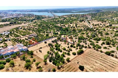 Erhvervsejendom i Estombar, Faro, Estombar - € 1.870.000 | Ref: FIN_385 - foto 22