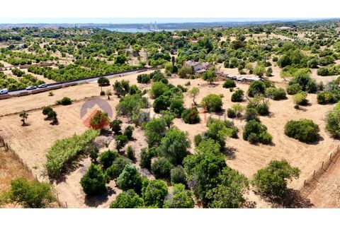 Erhvervsejendom i Estombar, Faro, Estombar - € 1.870.000 | Ref: FIN_385 - foto 23