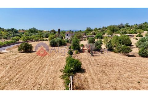 Erhvervsejendom i Estombar, Faro, Estombar - € 1.870.000 | Ref: FIN_385 - foto 24