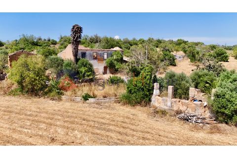 Erhvervsejendom i Estombar, Faro, Estombar - € 1.870.000 | Ref: FIN_385 - foto 25