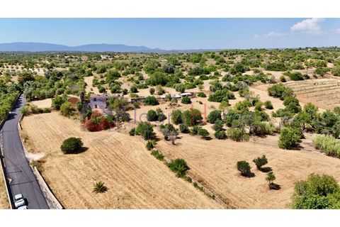 Erhvervsejendom i Estombar, Faro, Estombar - € 1.870.000 | Ref: FIN_385 - foto 30