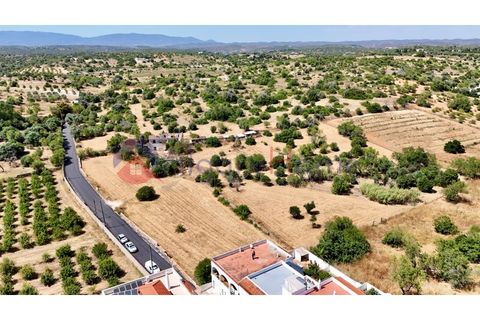 Erhvervsejendom i Estombar, Faro, Estombar - € 1.870.000 | Ref: FIN_385 - foto 31