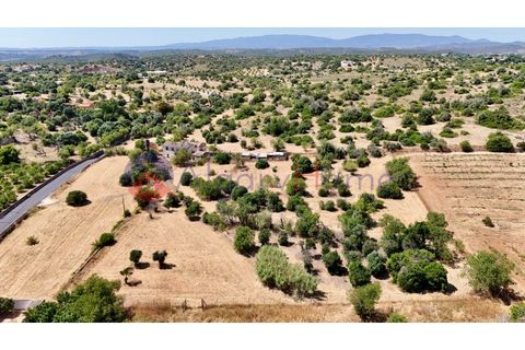 Erhvervsejendom i Estombar, Faro, Estombar - € 1.870.000 | Ref: FIN_385 - foto 32