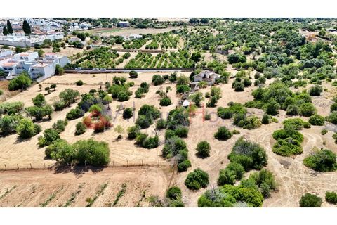 Erhvervsejendom i Estombar, Faro, Estombar - € 1.870.000 | Ref: FIN_385 - foto 33