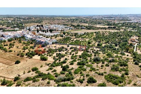 Erhvervsejendom i Estombar, Faro, Estombar - € 1.870.000 | Ref: FIN_385 - foto 34