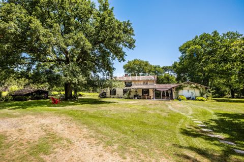 Villa en Sore, Landes, Sore - € 530.000 | Ref: SCS1128 - photo 7