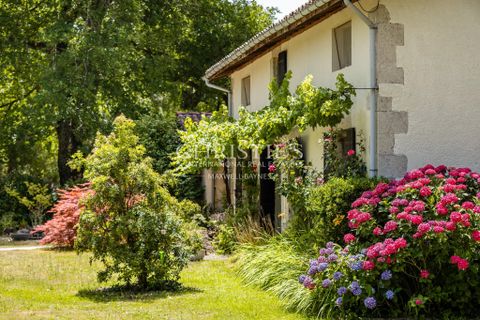 Villa en Sore, Landes, Sore - € 530.000 | Ref: SCS1128 - photo 13