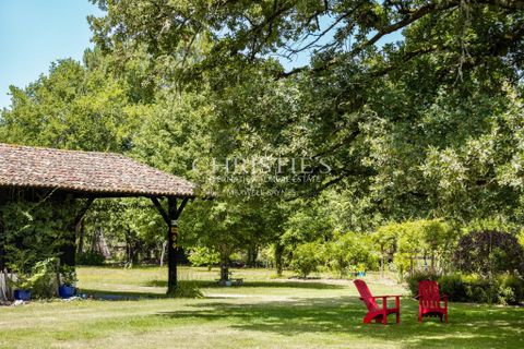 Villa en Sore, Landes, Sore - € 530.000 | Ref: SCS1128 - photo 16