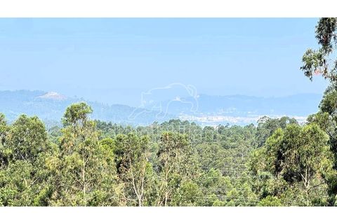 Villa i Viana do Castelo, Viana do Castelo, Viana do Castelo - € 225.000 | Ref: R5560 - foto 14