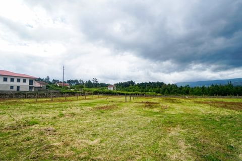 Farm i Moncao, Viana do Castelo, Moncao - € 430.000 | Ref: 4185 - foto 2