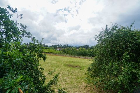 Farm i Moncao, Viana do Castelo, Moncao - € 430.000 | Ref: 4185 - foto 7